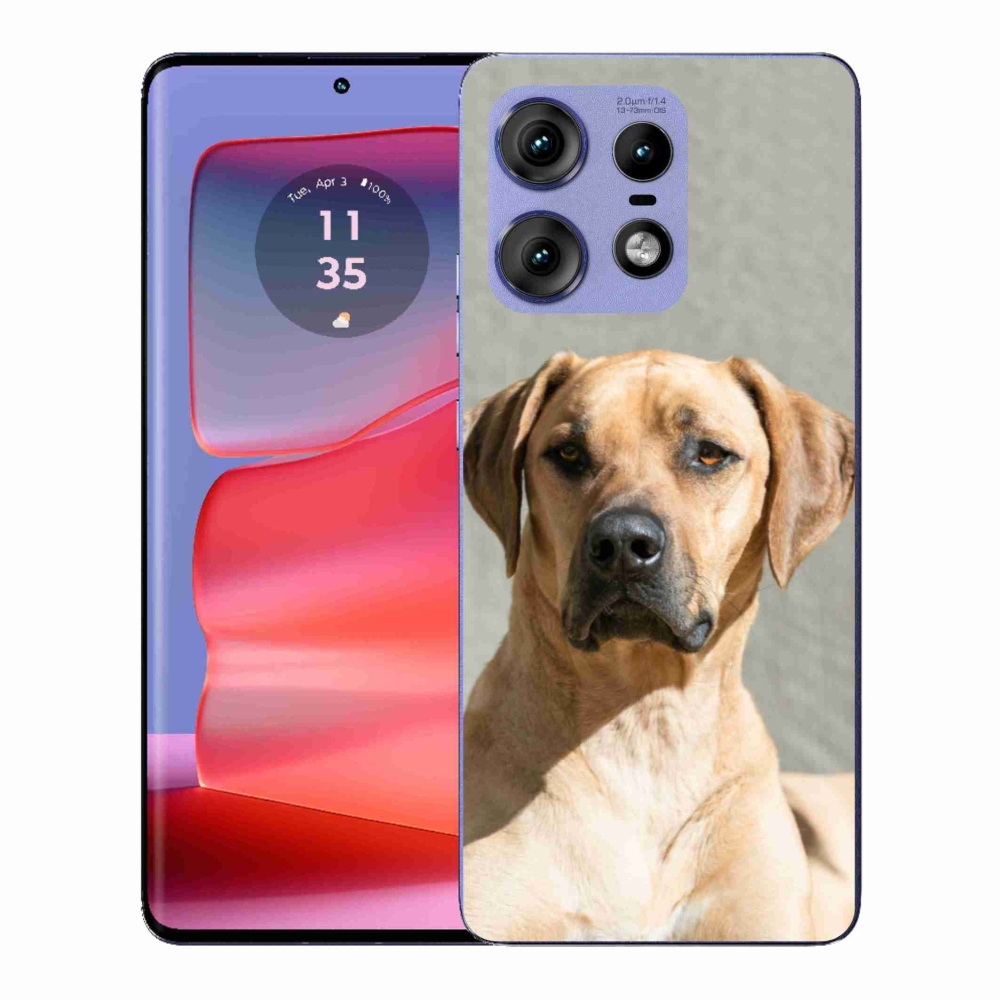Gelový kryt mmCase na Motorola Edge 50 Pro - ridgeback