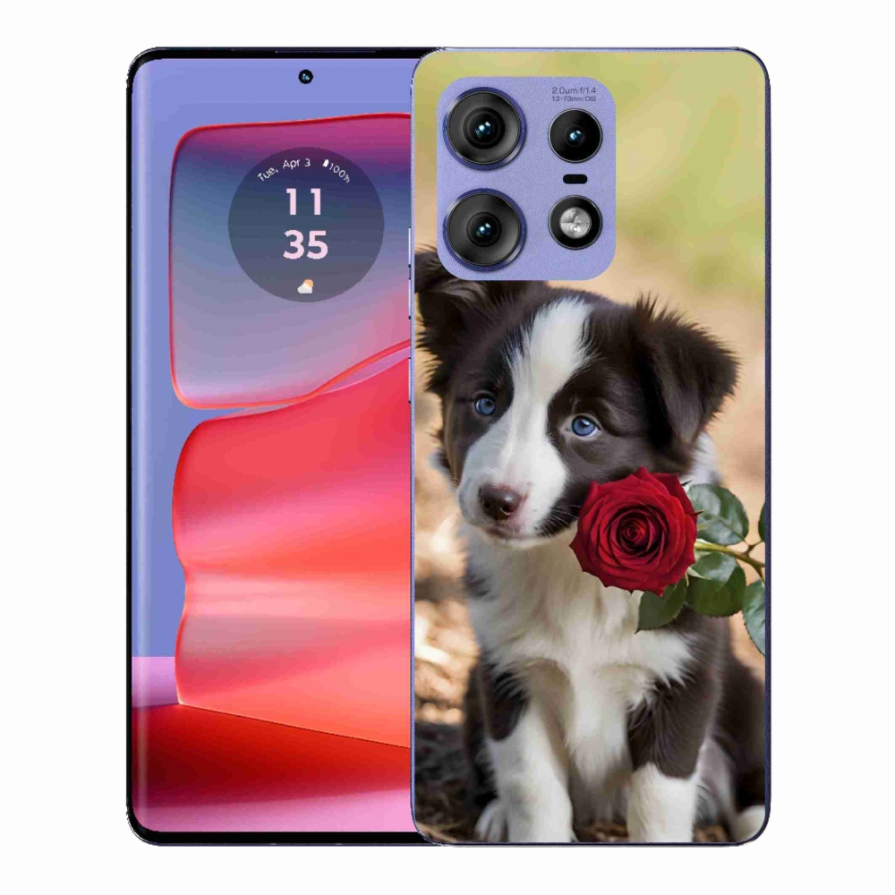 Gelový kryt mmCase na Motorola Edge 50 Pro - roztomilá border kolie s růží
