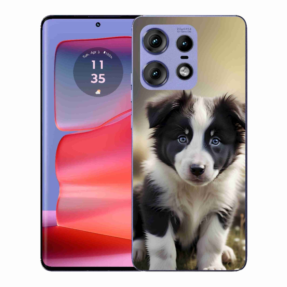 Gelový kryt mmCase na Motorola Edge 50 Pro - roztomilá border kolie