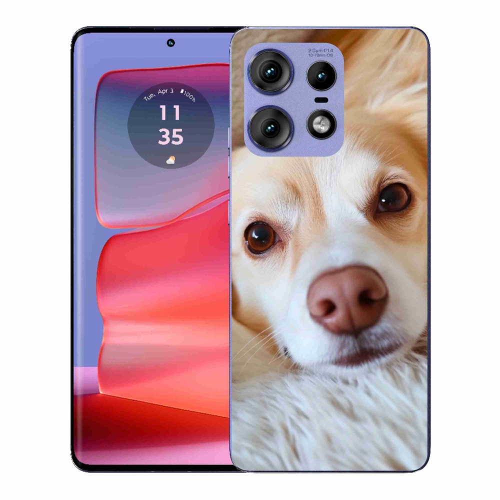 Gelový kryt mmCase na Motorola Edge 50 Pro - Roztomilá čivava
