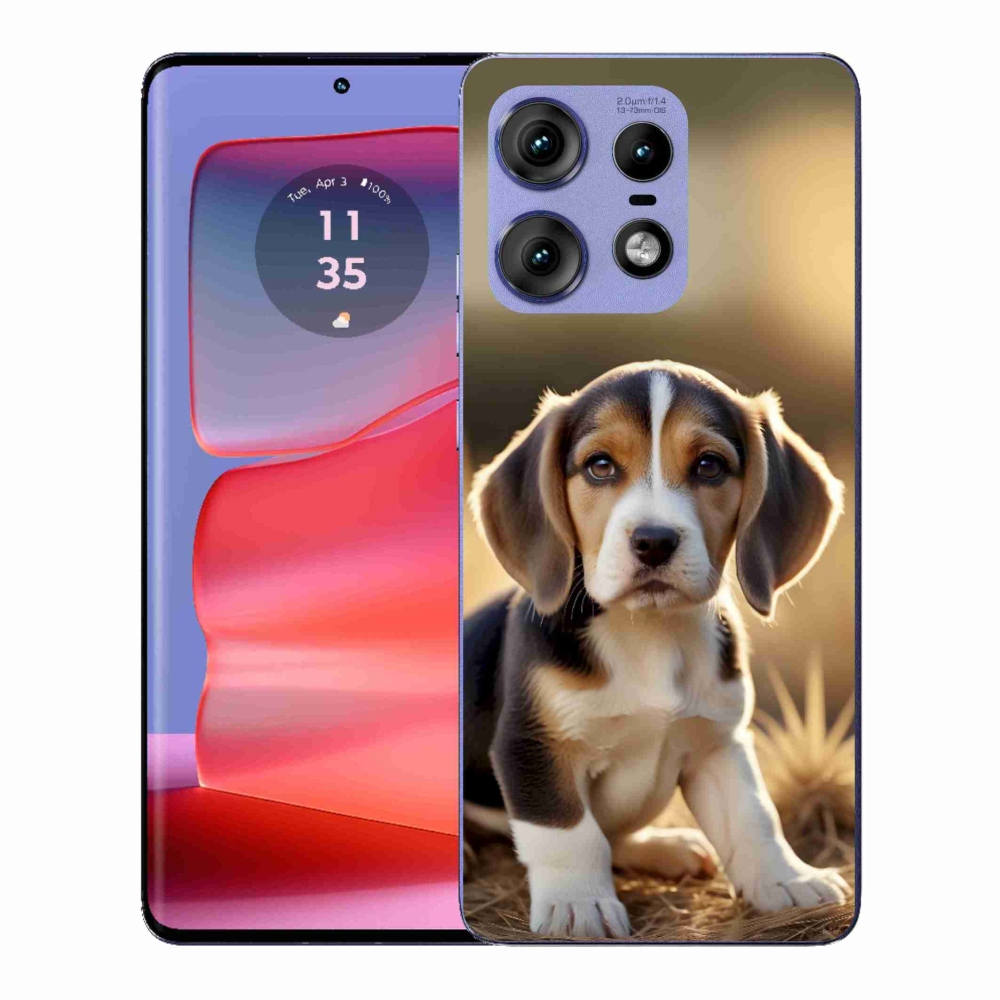 Gelový kryt mmCase na Motorola Edge 50 Pro - roztomilý bígl