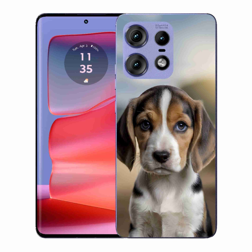 Gelový kryt mmCase na Motorola Edge 50 Pro - roztomilý bígl
