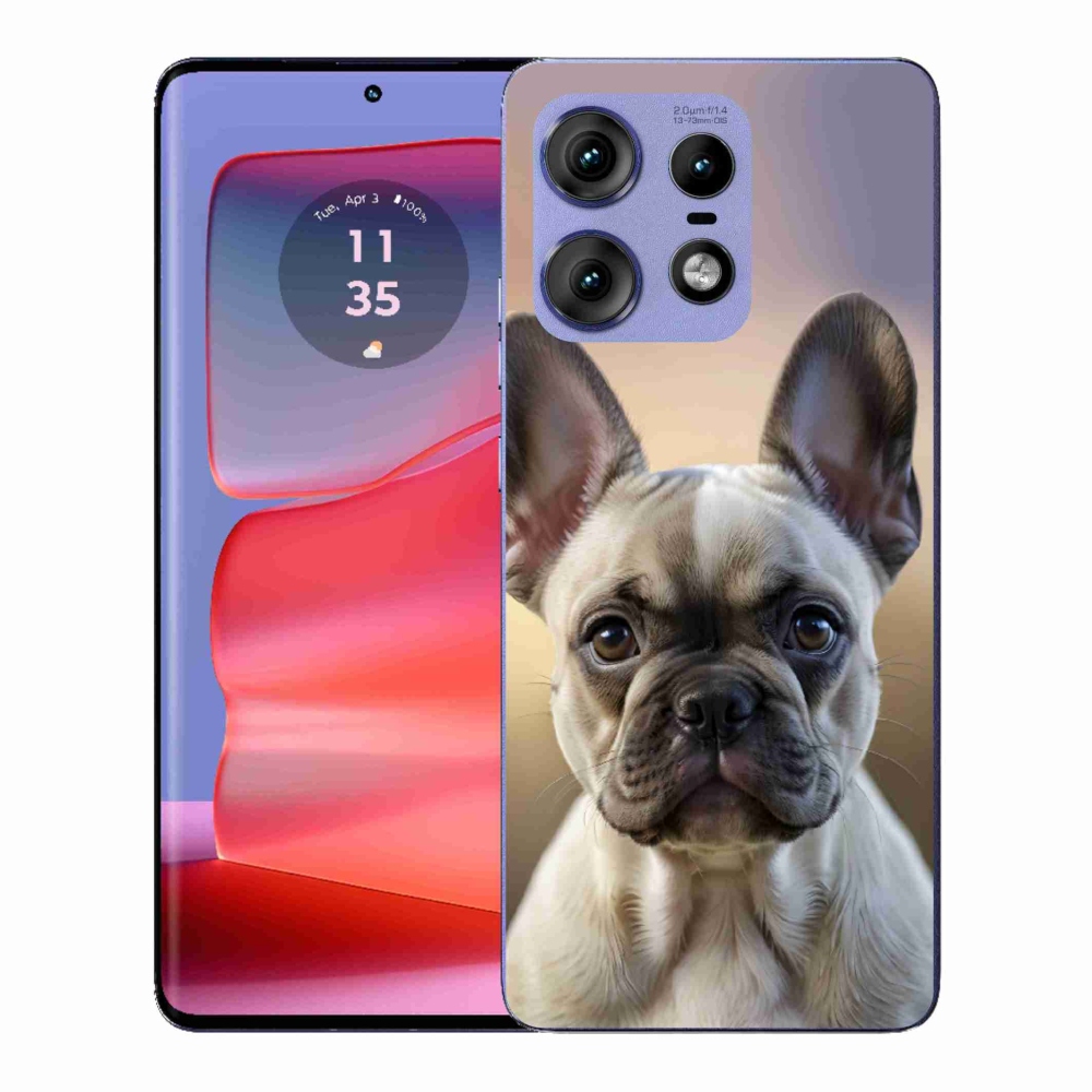 Gelový kryt mmCase na Motorola Edge 50 Pro - roztomilý francouzský buldoček