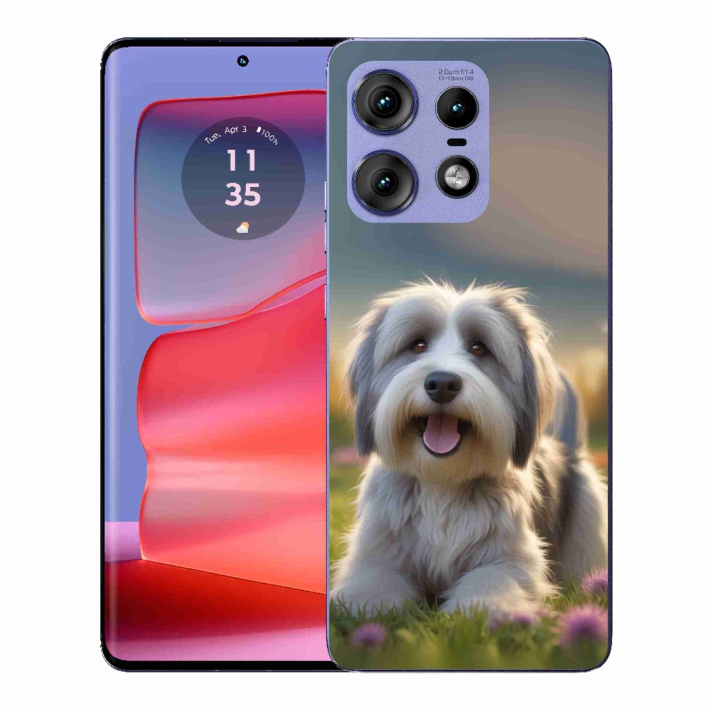 Gelový kryt mmCase na Motorola Edge 50 Pro - roztomilý havanský psík