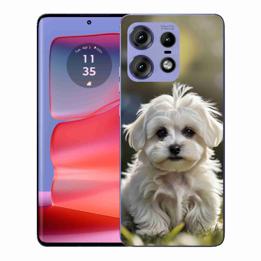 Gelový kryt mmCase na Motorola Edge 50 Pro - roztomilý maltézský psík
