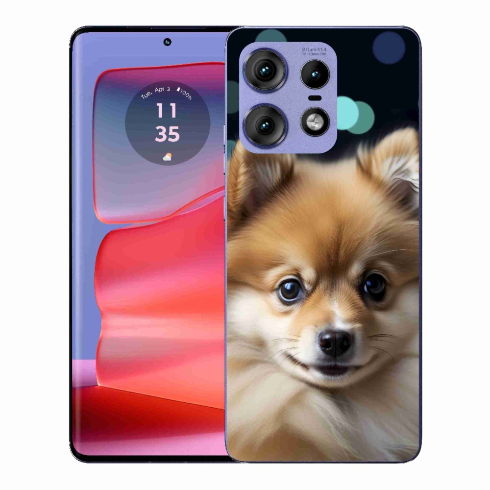Gelový kryt mmCase na Motorola Edge 50 Pro - roztomilý pomeranian
