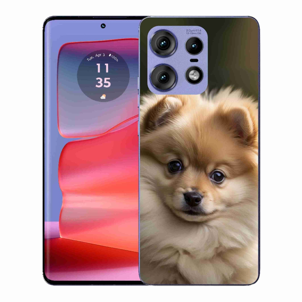 Gelový kryt mmCase na Motorola Edge 50 Pro - roztomilý pomeranian 2