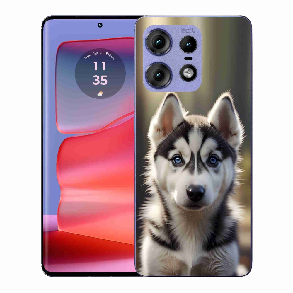 Gelový kryt mmCase na Motorola Edge 50 Pro - roztomilý sibiřský husky