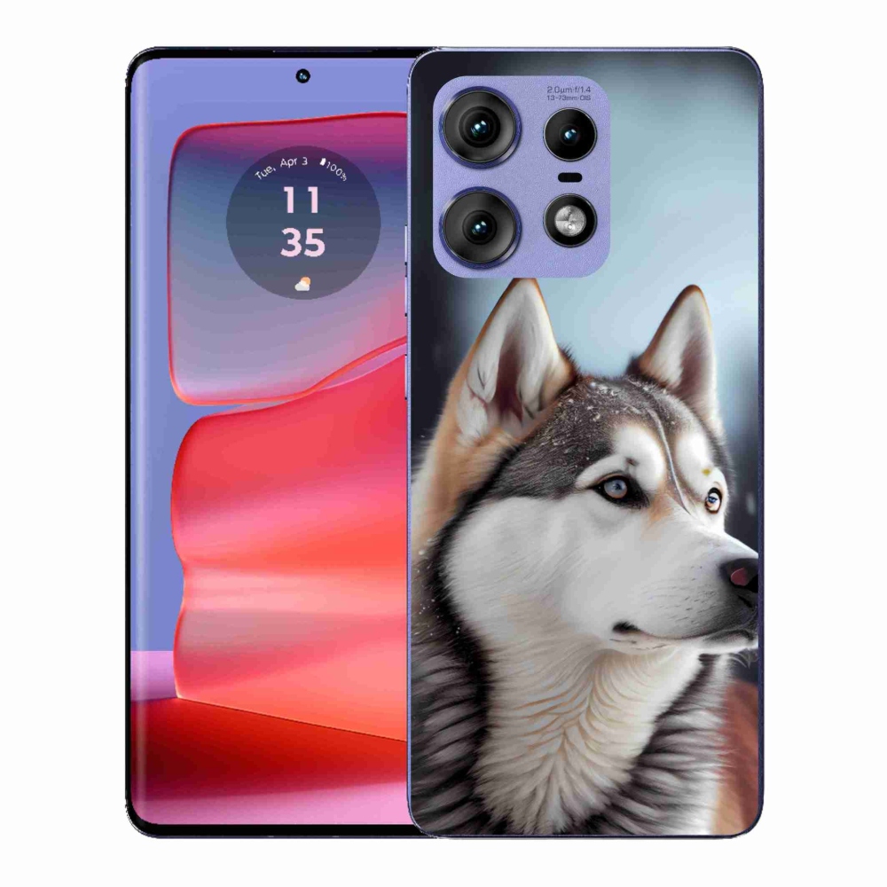 Gelový kryt mmCase na Motorola Edge 50 Pro - sibiřský husky
