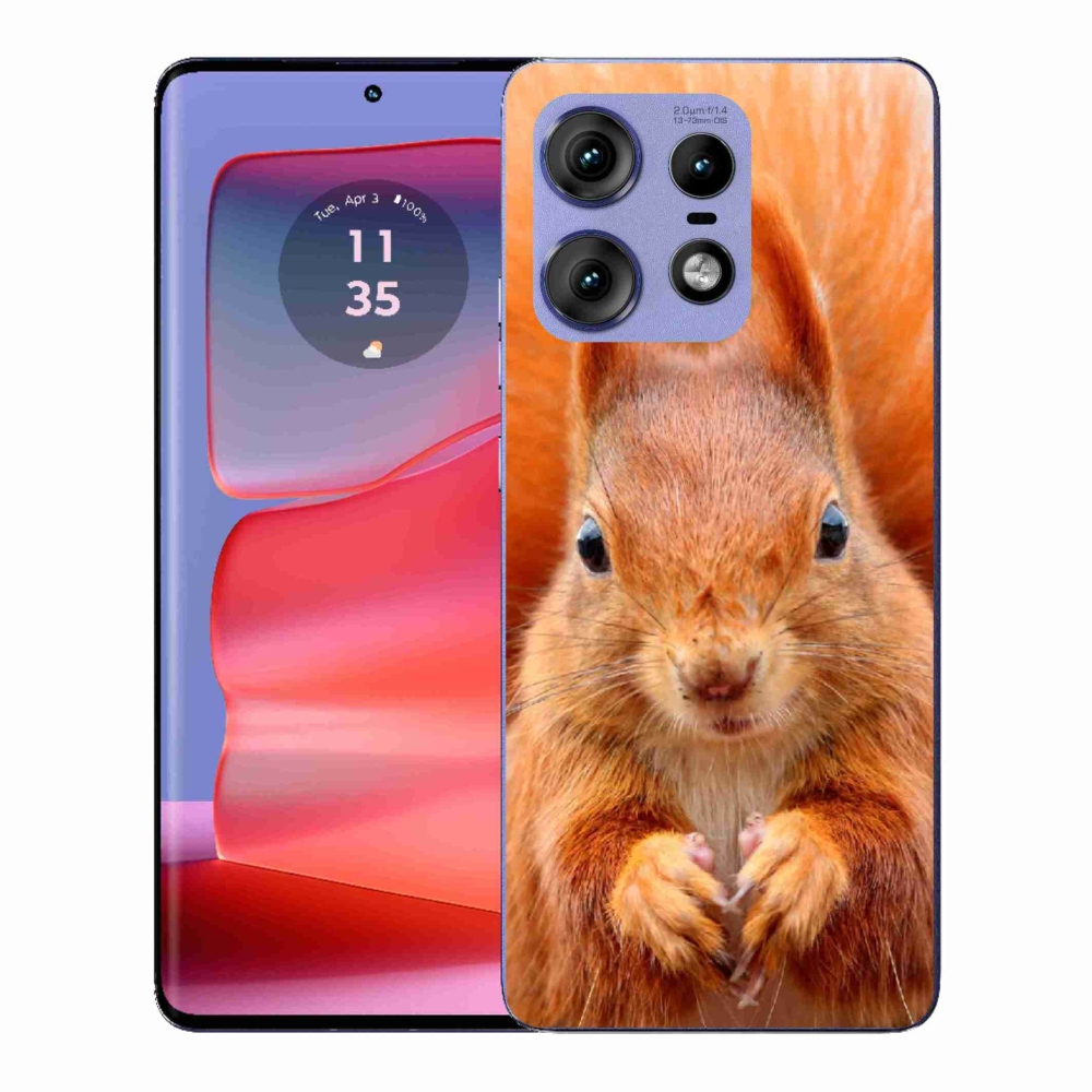 Gelový kryt mmCase na Motorola Edge 50 Pro - veverka