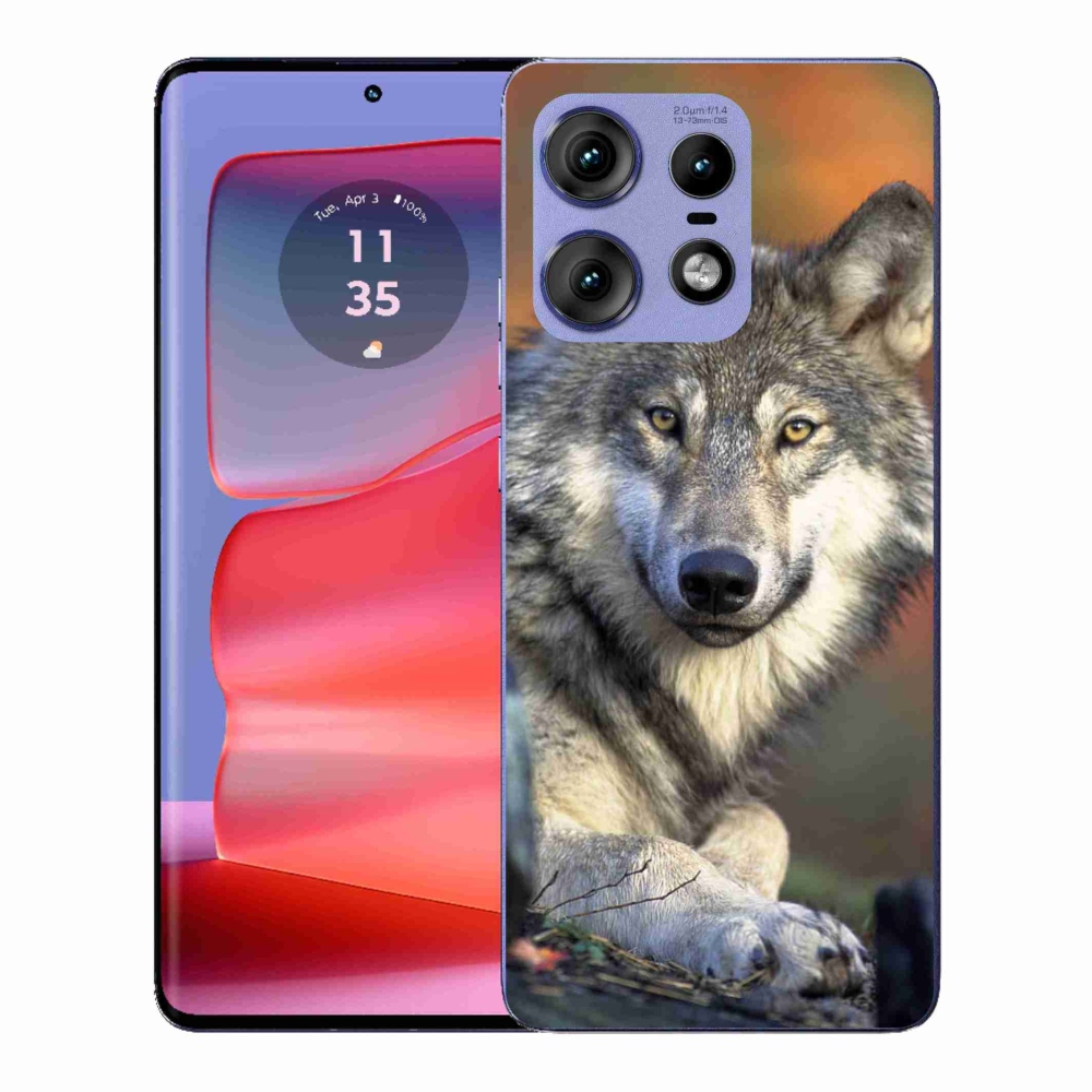 Gelový kryt mmCase na Motorola Edge 50 Pro - vlk