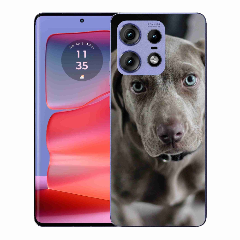 Gelový kryt mmCase na Motorola Edge 50 Pro - výmarský ohař
