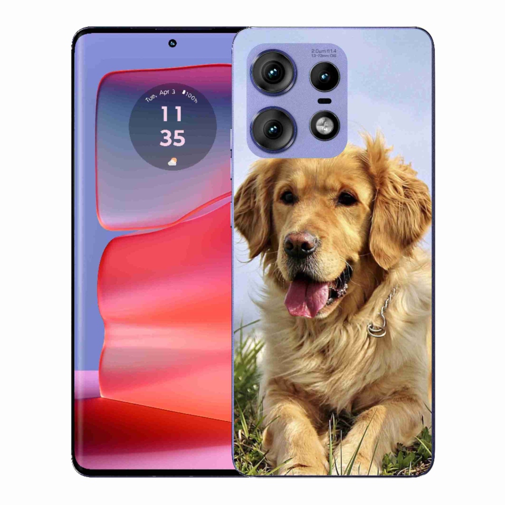 Gelový kryt mmCase na Motorola Edge 50 Pro - zlatý retrívr