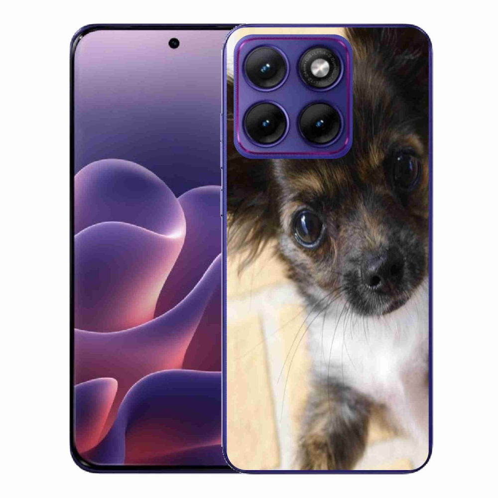 Gelový kryt mmCase na Motorola Edge 70 Fusion - čivava 2