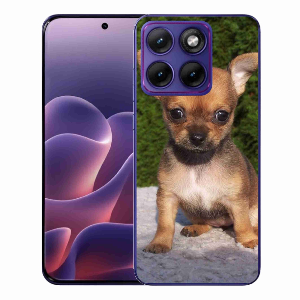 Gelový kryt mmCase na Motorola Edge 70 Fusion - čivava 3