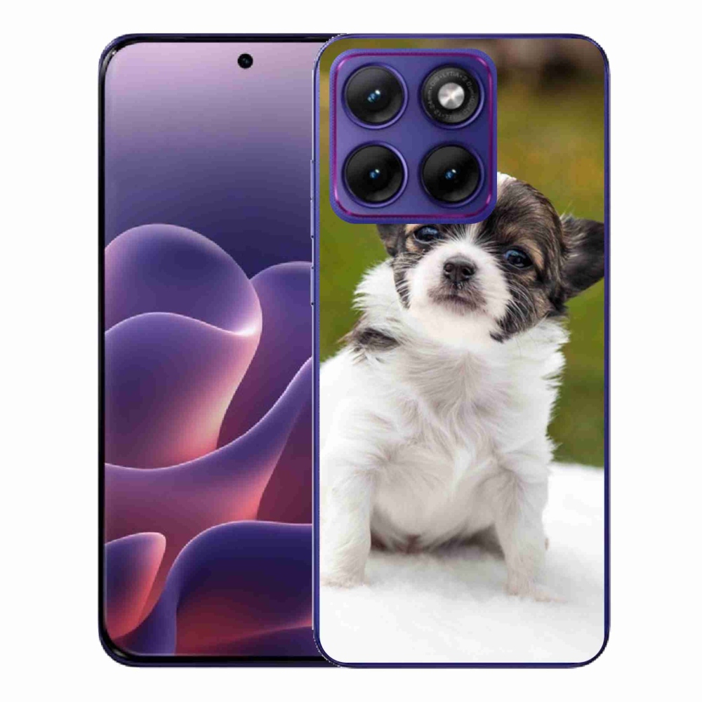 Gelový kryt mmCase na Motorola Edge 70 Fusion - čivava 4