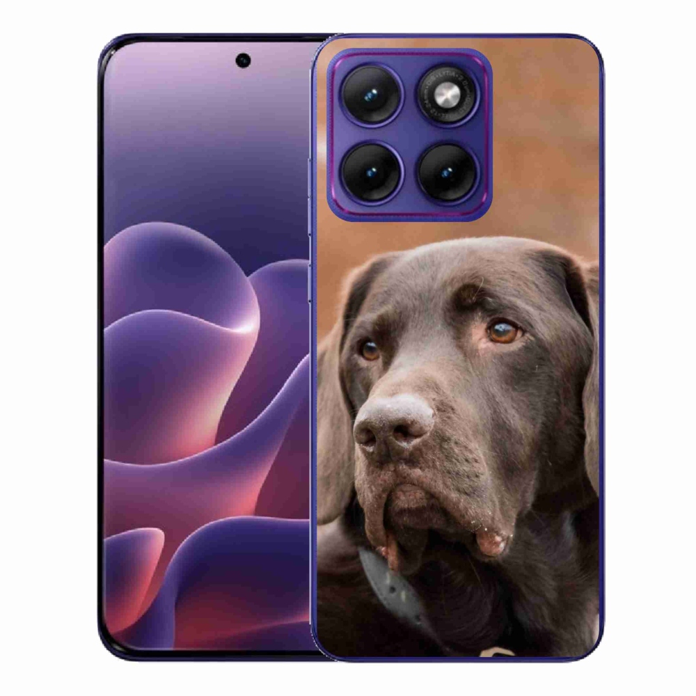 Gelový kryt mmCase na Motorola Edge 70 Fusion - hnědý labrador