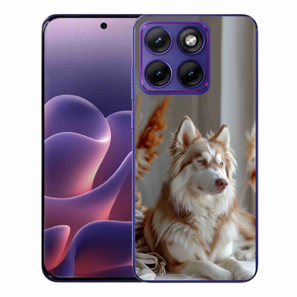 Gelový kryt mmCase na Motorola Edge 70 Fusion - klidný sibiřský husky
