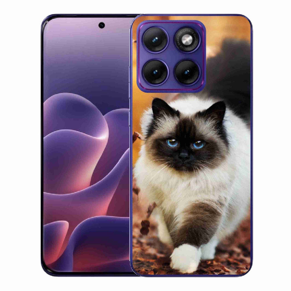 Gelový kryt mmCase na Motorola Edge 70 Fusion - kočka
