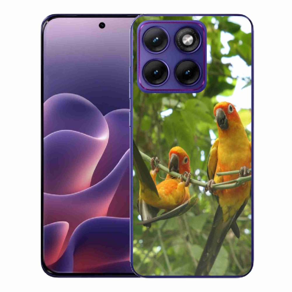 Gelový kryt mmCase na Motorola Edge 70 Fusion - papoušci aratingy