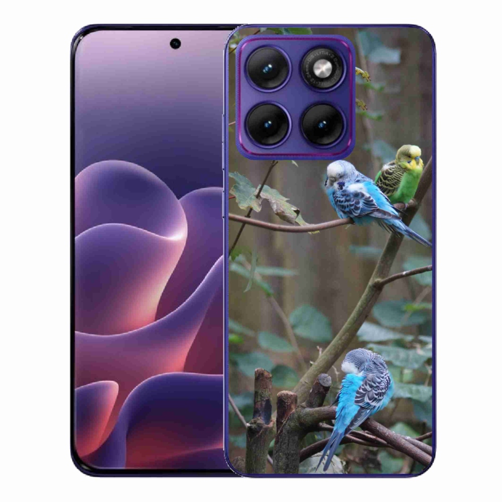 Gelový kryt mmCase na Motorola Edge 70 Fusion - papoušci na větvi