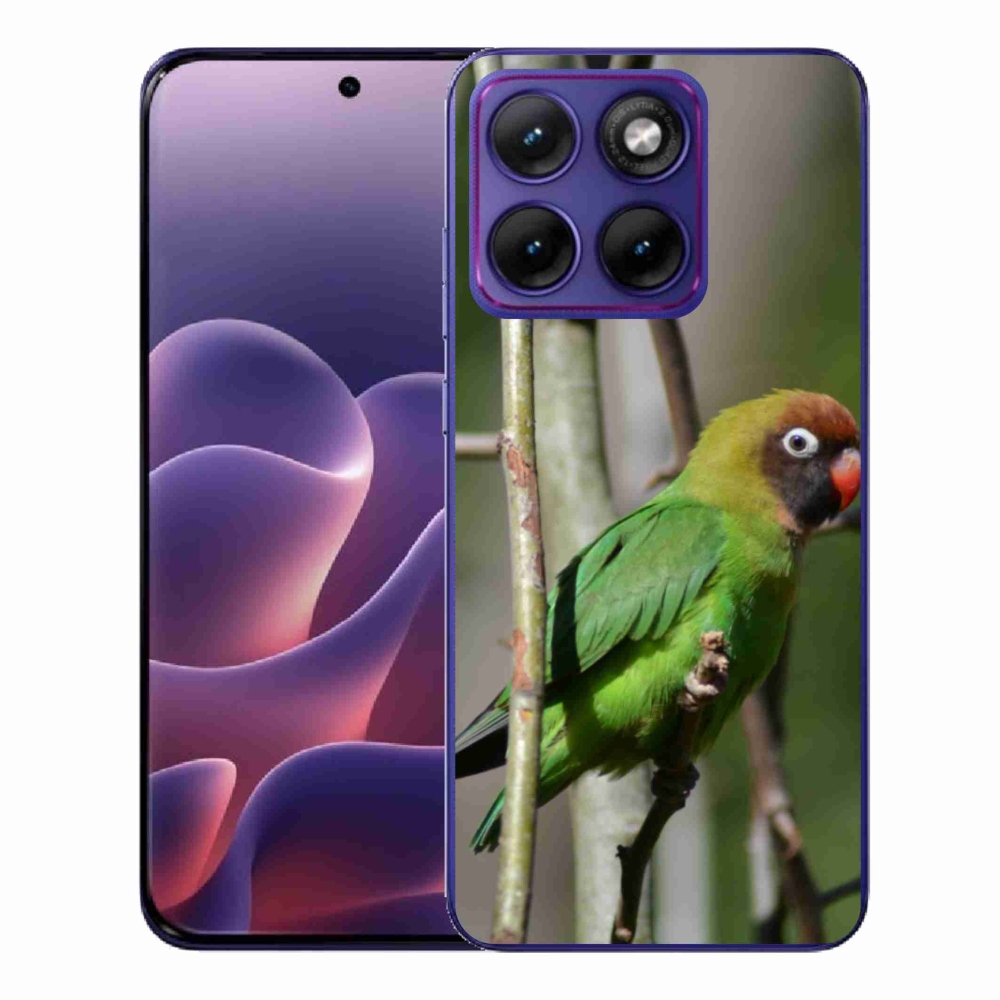 Gelový kryt mmCase na Motorola Edge 70 Fusion - papoušek agapornis