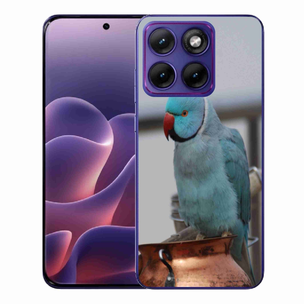 Gelový kryt mmCase na Motorola Edge 70 Fusion - papoušek alexandr modrý