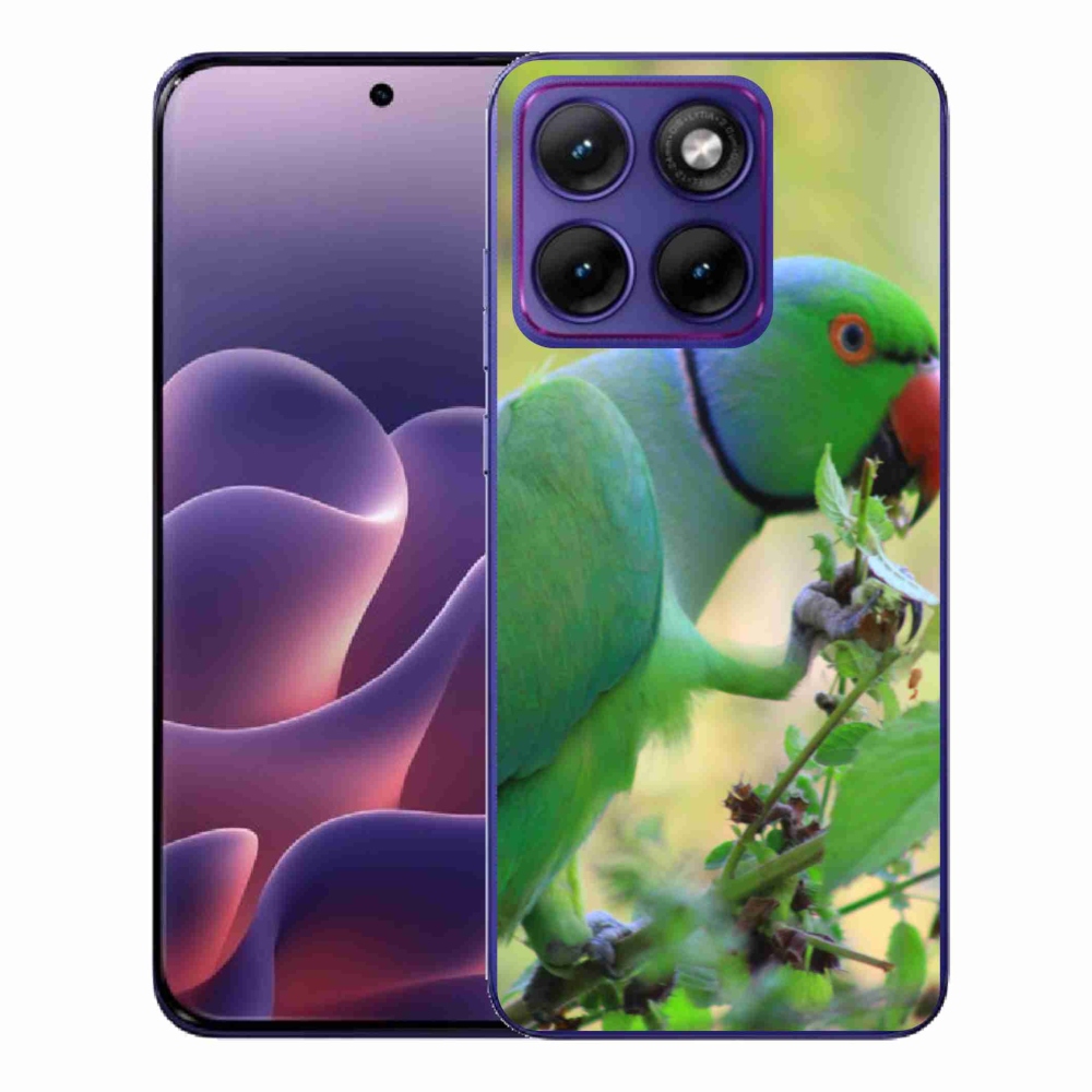 Gelový kryt mmCase na Motorola Edge 70 Fusion - papoušek alexandr