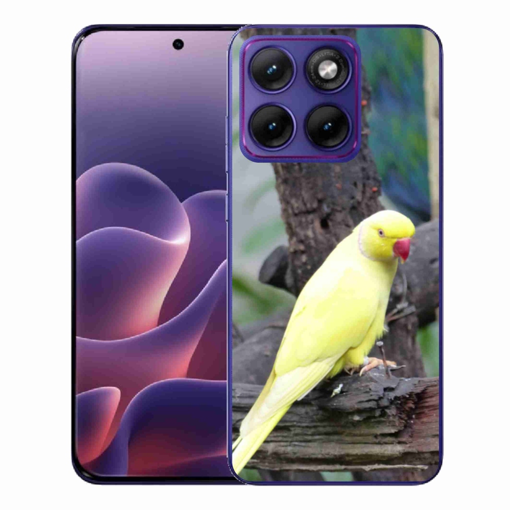 Gelový kryt mmCase na Motorola Edge 70 Fusion - papoušek alexandr žlutý