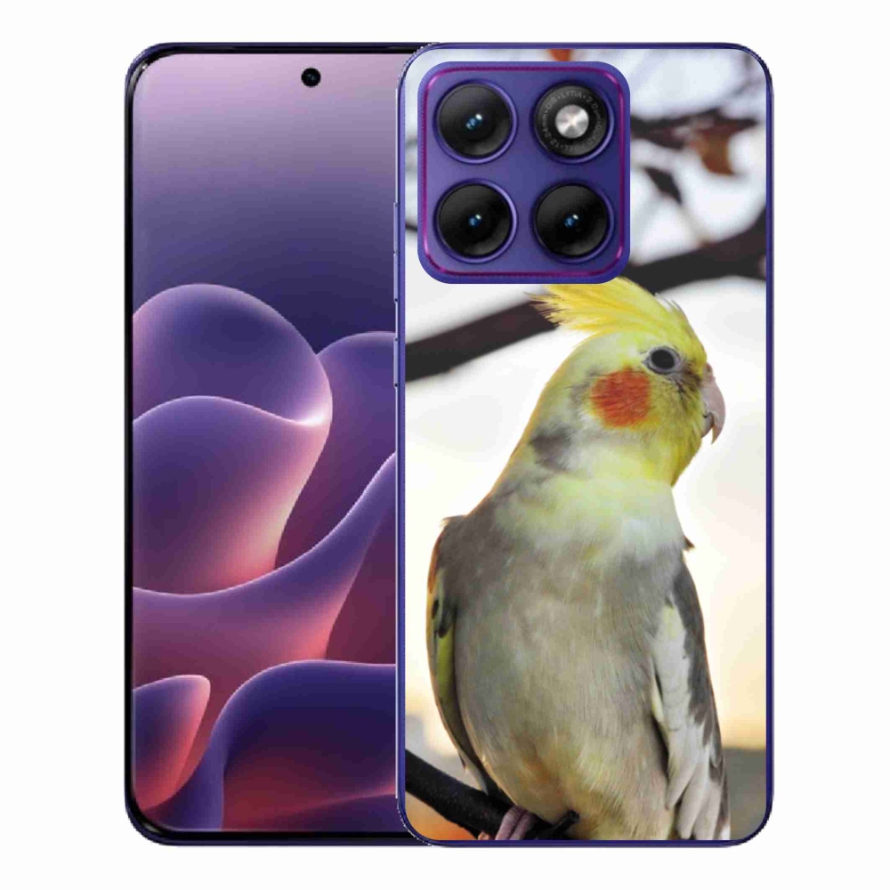 Gelový kryt mmCase na Motorola Edge 70 Fusion - papoušek korela