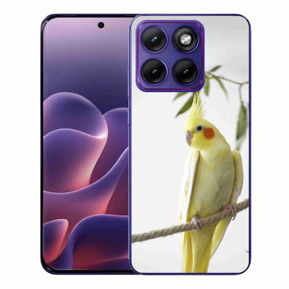 Gelový kryt mmCase na Motorola Edge 70 Fusion - papoušek korela chocholatá