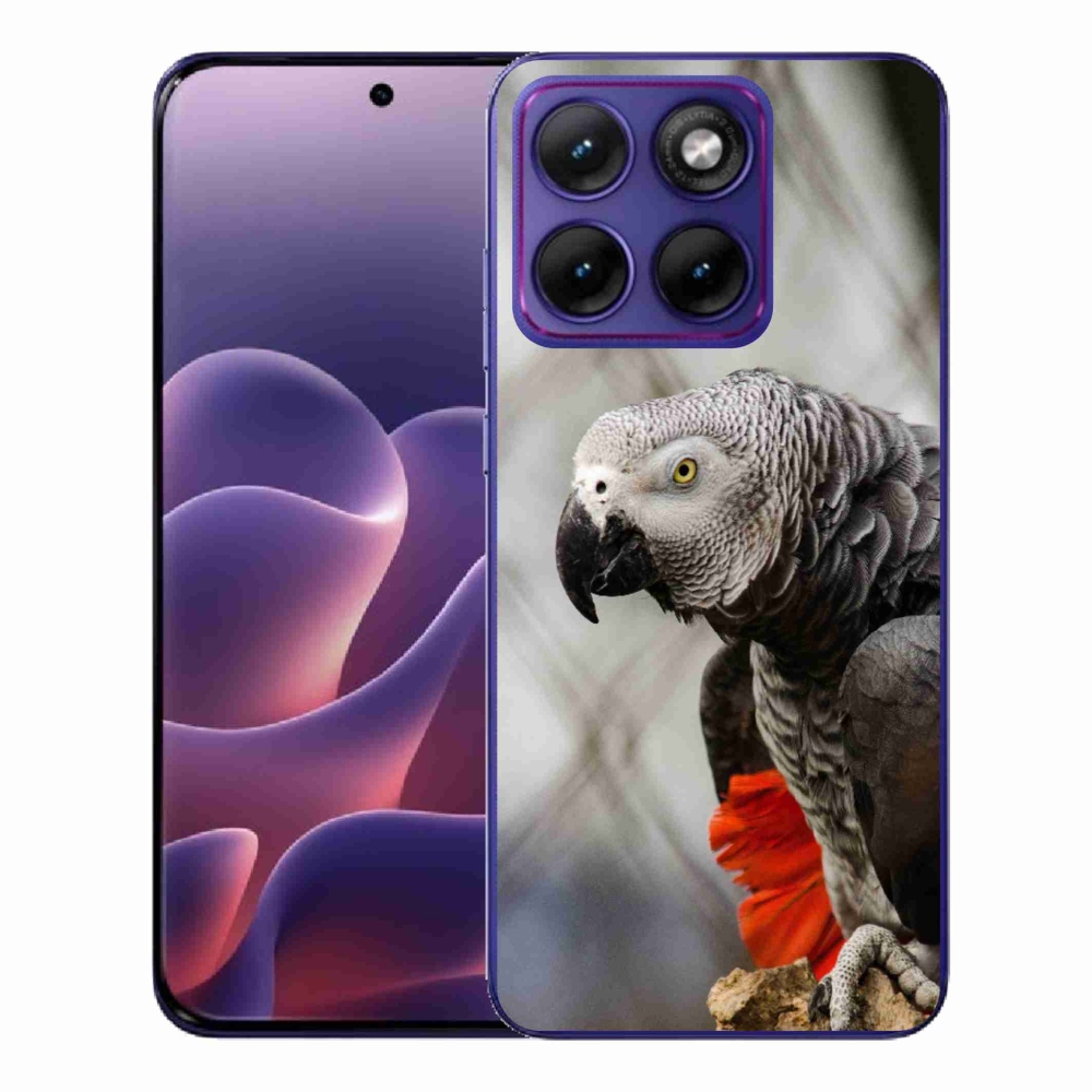 Gelový kryt mmCase na Motorola Edge 70 Fusion - papoušek žako 3