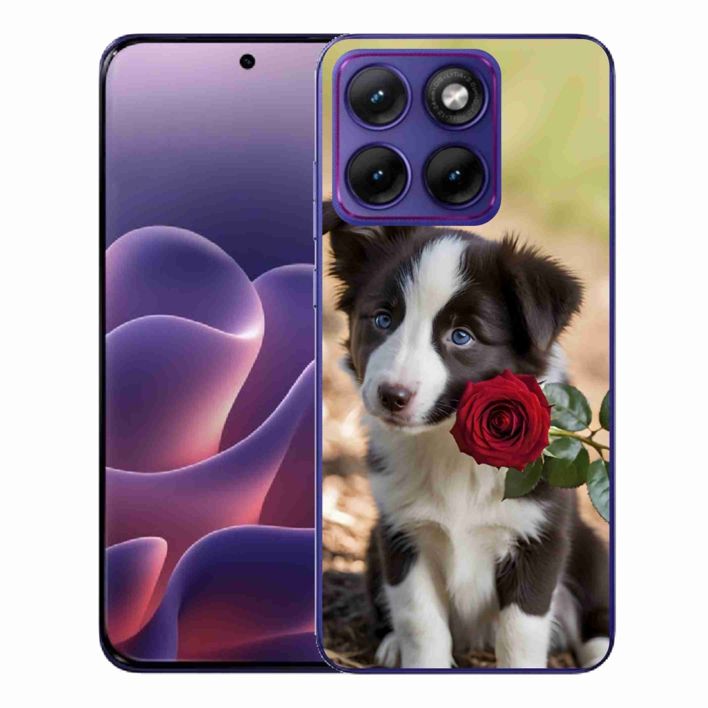 Gelový kryt mmCase na Motorola Edge 70 Fusion - roztomilá border kolie s růží