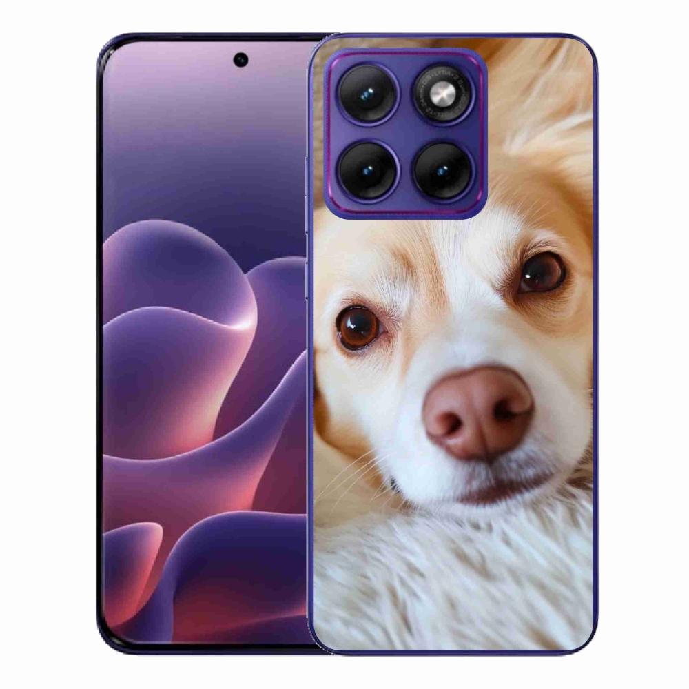 Gelový kryt mmCase na Motorola Edge 70 Fusion - Roztomilá čivava