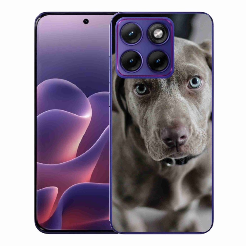 Gelový kryt mmCase na Motorola Edge 70 Fusion - výmarský ohař