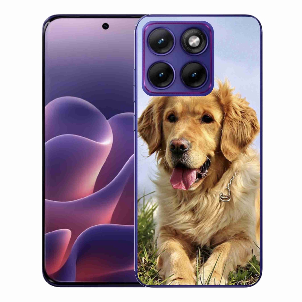 Gelový kryt mmCase na Motorola Edge 70 Fusion - zlatý retrívr