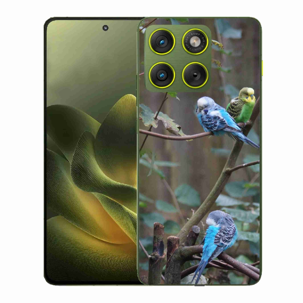 Gelový kryt mmCase na Motorola Edge 70 - papoušci na větvi