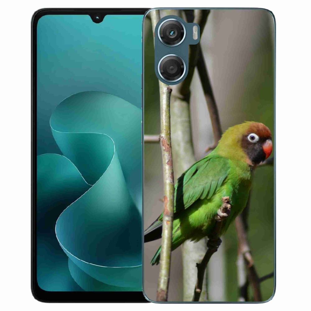 Gelový kryt mmCase na Motorola G06/G06 Power - papoušek agapornis
