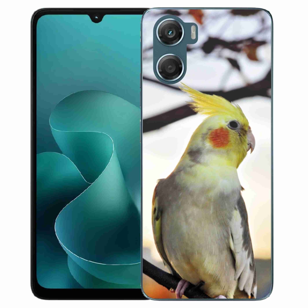 Gelový kryt mmCase na Motorola G06/G06 Power - papoušek korela