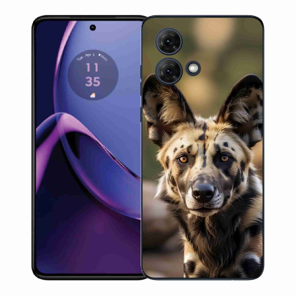 Gelový kryt mmCase na Motorola Moto G84 5G - africký divoký pes