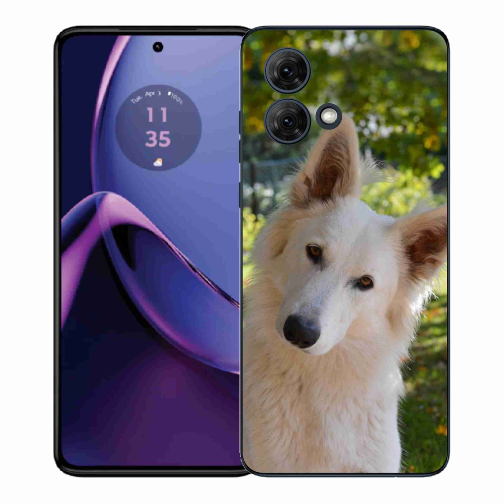 Gelový kryt mmCase na Motorola Moto G84 5G - bílý švýcarský ovčák 1