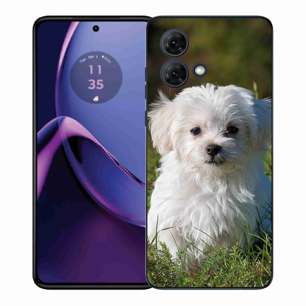 Gelový kryt mmCase na Motorola Moto G84 5G - bišonek
