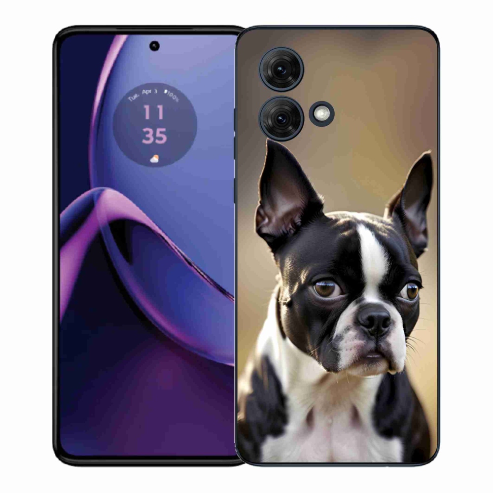 Gelový kryt mmCase na Motorola Moto G84 5G - bostonský teriér