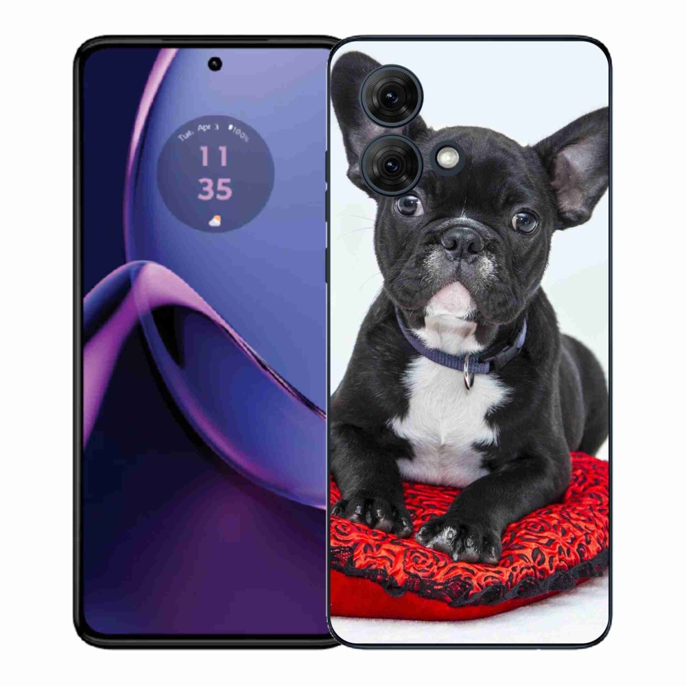 Gelový kryt mmCase na Motorola Moto G84 5G - buldok