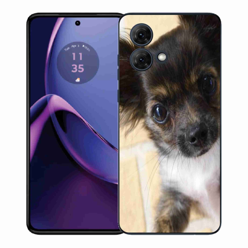 Gelový kryt mmCase na Motorola Moto G84 5G - čivava 2