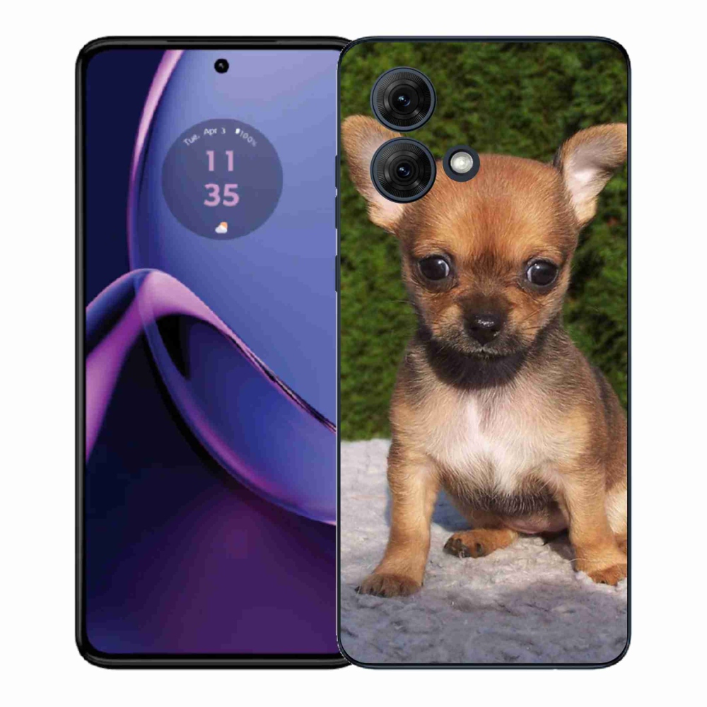 Gelový kryt mmCase na Motorola Moto G84 5G - čivava 3