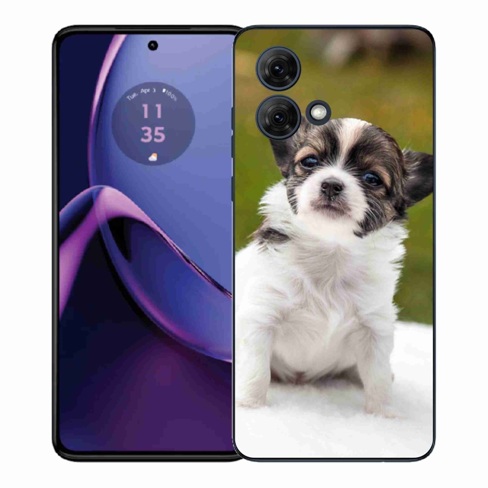 Gelový kryt mmCase na Motorola Moto G84 5G - čivava 4