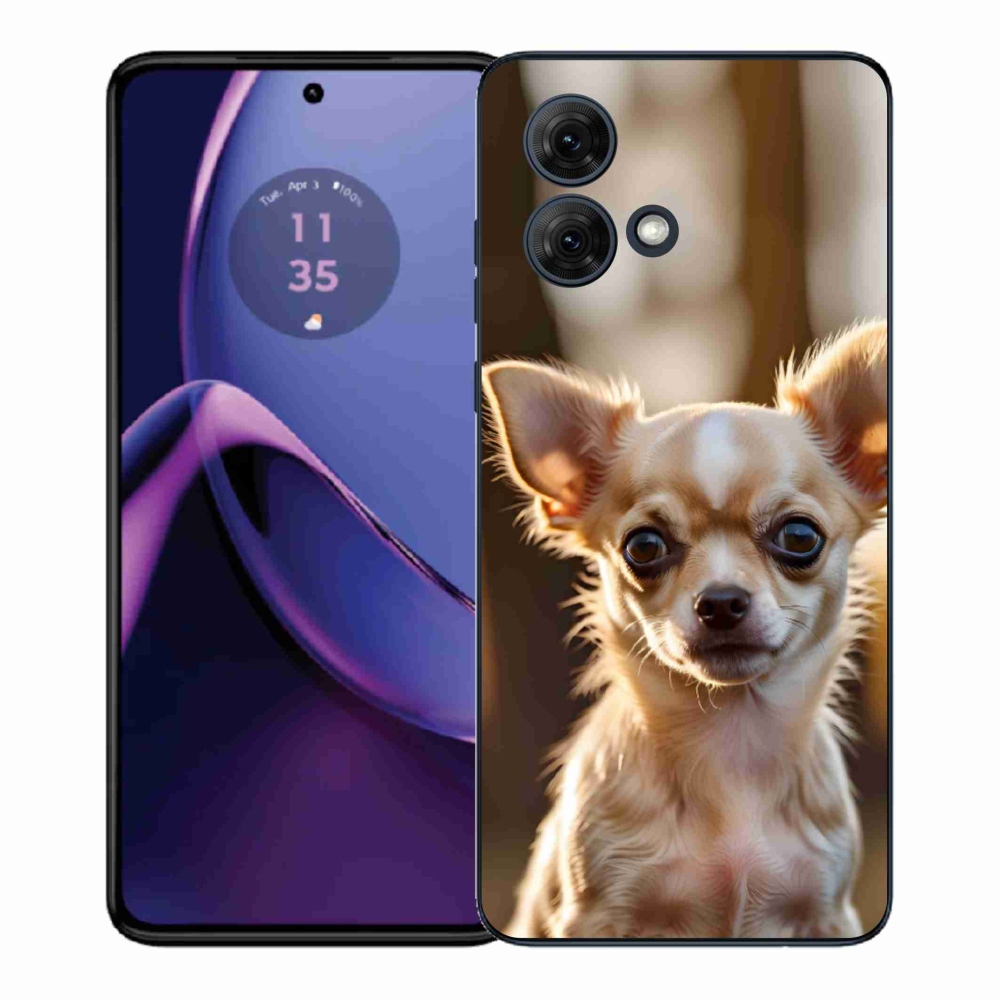 Gelový kryt mmCase na Motorola Moto G84 5G - čivava 6