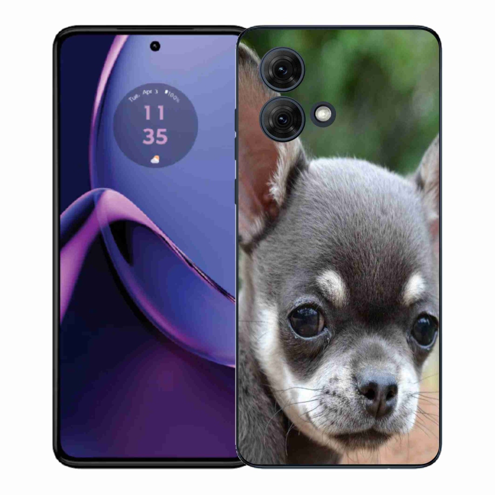 Gelový kryt mmCase na Motorola Moto G84 5G - čivava