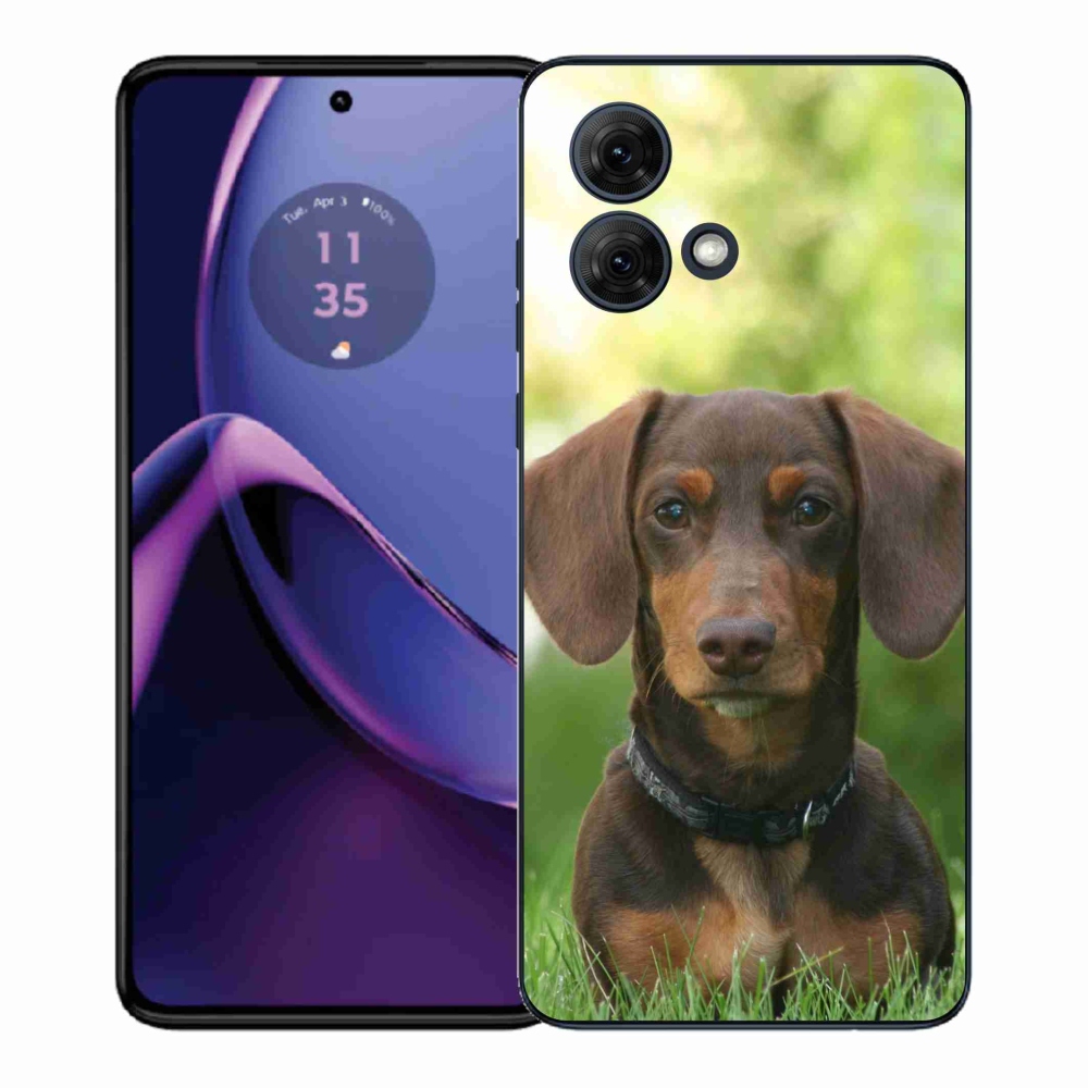 Gelový kryt mmCase na Motorola Moto G84 5G - hnědý jezevčík
